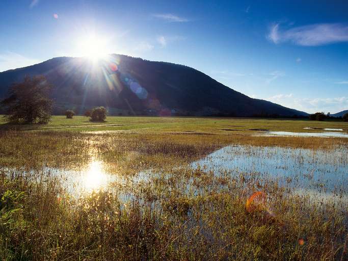 Cerknica See