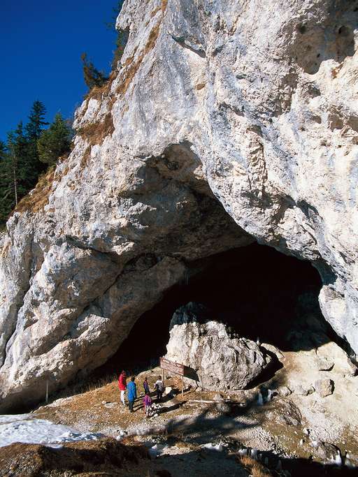 Potocka Zijalka, Mount Olševa