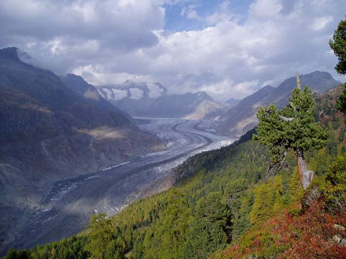 Der Aletschgletscher in den Berner Alpen ist das größte Eisfeld Zentraleuropas -  mit 24km Länge und rund 27 Mrd. Tonnen Eis 