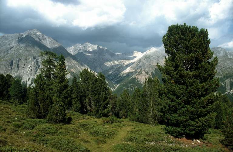 Blick von Buffalora in die Val Nüglia, Ofenpass