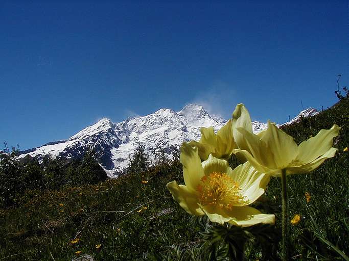 Monte Rosa Massiv (4.634m)