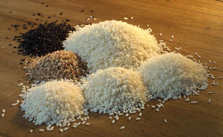 Types of rice