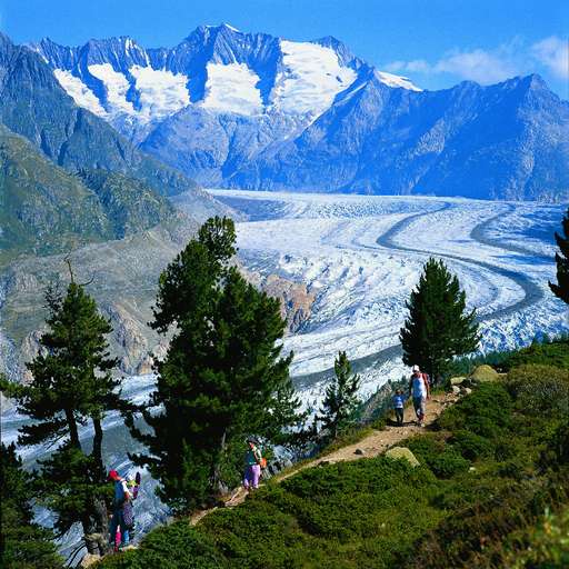 Aletsch Glacier