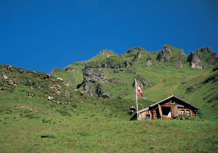 Alpine pasture, canton Uri