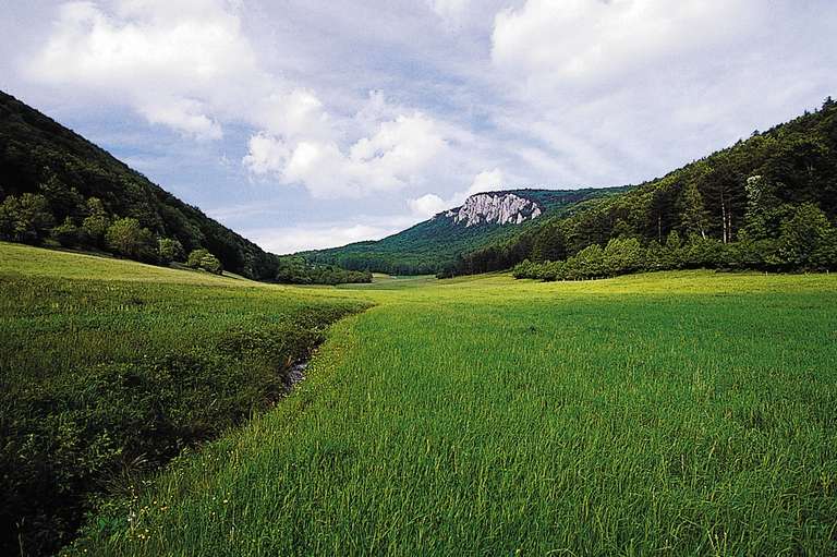 Peilstein, southern Wienerwald