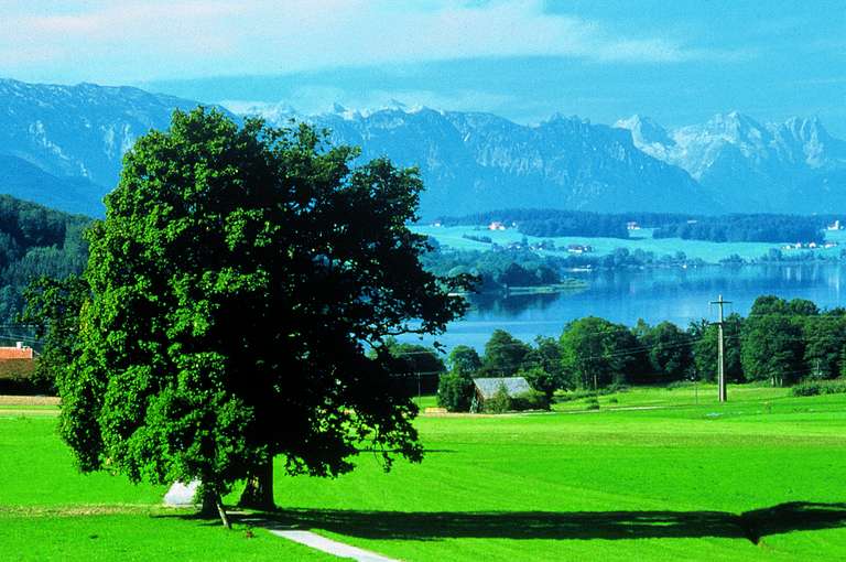 Wallersee, Flachgau