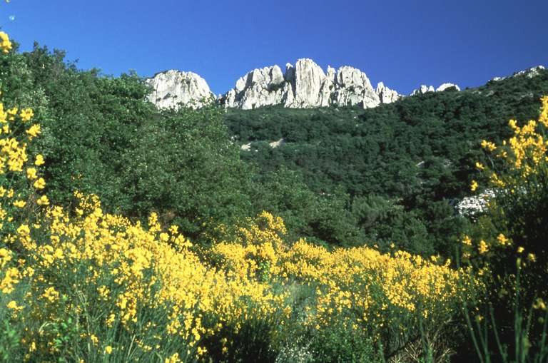 Dentelles de Montmirail, Vorberge des Mont Ventoux