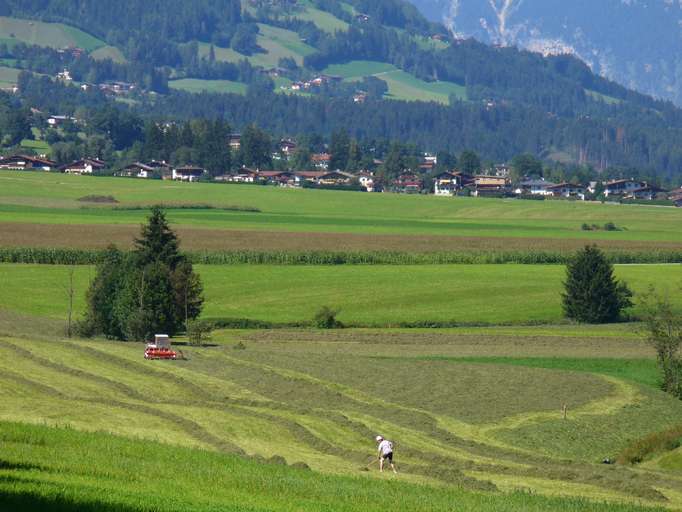 Hay harvest in Zillertal