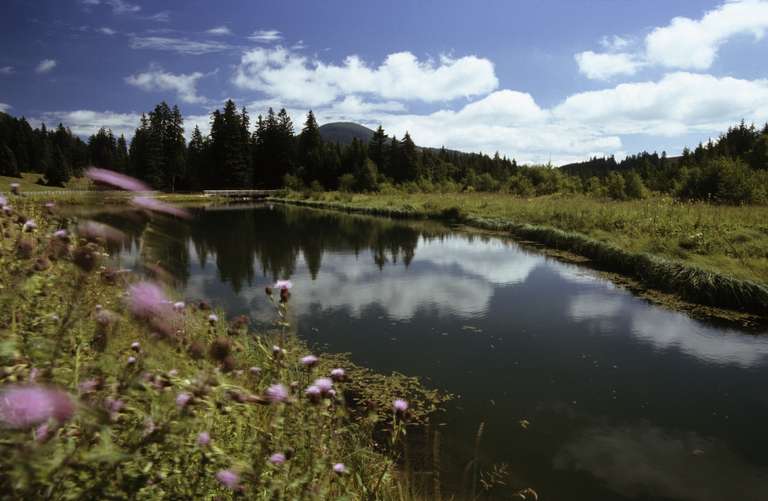 Teichalm,  Almenland - Stiria del est