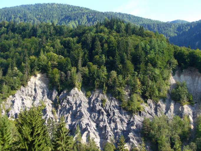 Erosionsform im Wald