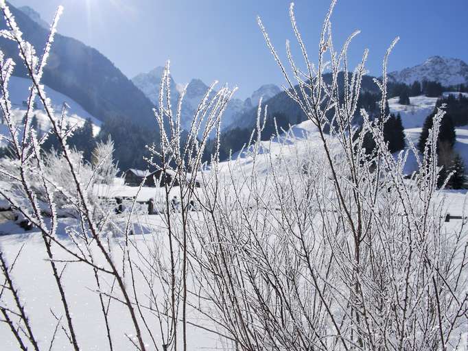 Landscape in the wintertime, Château d'Oex