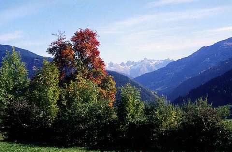 Ausblick von Kaunerberg