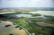 Bewahrungszone im Nationalpark Neusiedler See-Seewinkel (Bild: Archiv NP Neusiedler See - Seewinkel)