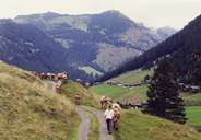 Tirol Atlas image No.°11171