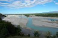 Tagliamento, einer der letzten Wildflüsse der Alpen (Bild: Christian Steineder)