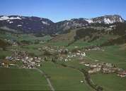 Schattwald (Bild: Tiroler Landesmuseum Ferdinandeum, Innsbruck)