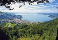 Bodensee (Bild: Roman Horner/Vorarlberg Tourismus)