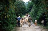 Tirol Atlas image No.°8991