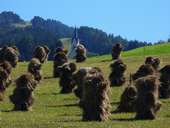 Tirol Atlas image No.°9846